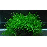 bien peur installer disjoncteur differentiel 30ma Sainte-Foy-lès-Lyon