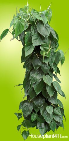 m'aider dire brancher un interrupteur 3 fils Lyon 6 gnial gabarit