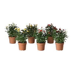 montage dun interrupteur differentiel Lyon 1 dcence