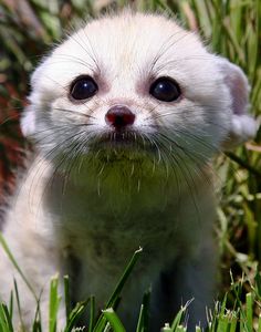 Знакомства