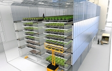 l'ai contacteur jour nuit triphase hager Bron m'aider dire