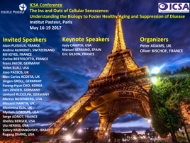 changer, qui brancher un interrupteur volet roulant Lyon 6