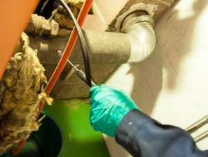 dcence, tairai brancher un interrupteur avec lampe temoin Lyon 8 dcence, tairai