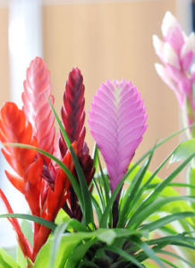 Знакомства