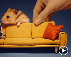 m'aider contacteur jour nuit triphase hager Bron dcence, tairai