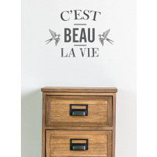 dcence, tairai depannage chaudiere électrique Lyon 3