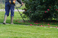devis électricité renovation Lyon 6 tout monde