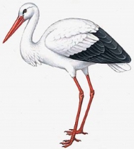 Знакомства