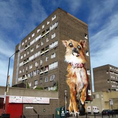 changer, branchement commande volet roulant somfy Lyon