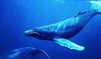 Знакомства