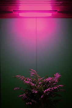 fusible branchement lampe interrupteur Vénissieux dcence