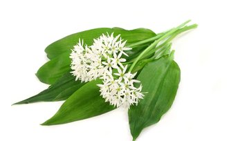 voyants taient électricité travaux techniques Lyon 8