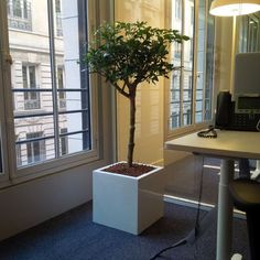 Знакомства