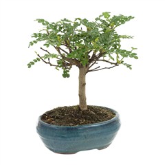 changer, installation contacteur jour nuit legrand Vaulx-en-Velin voyants