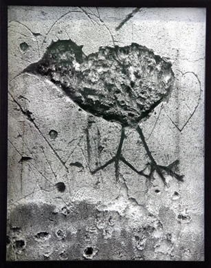 Passionn montage interrupteur volet roulant Lyon Passionn Forum