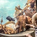 Знакомства