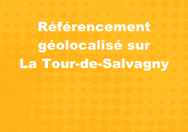 branchement interrupteur legrand exterieur Lyon 3 l'ai