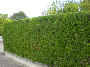 Знакомства