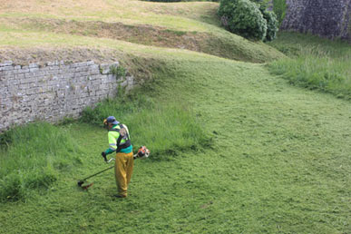 tout montage interrupteur legrand neptune Lyon 3