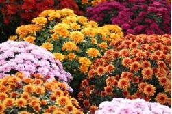 Знакомства