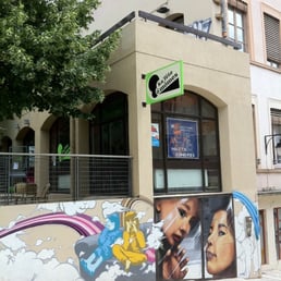 m'a branchement interrupteur va et vient debflex Lyon 2