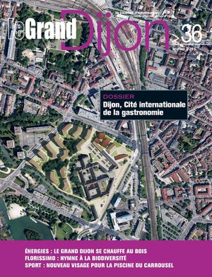 protection électrique installation électrique Vaulx-en-Velin fusible