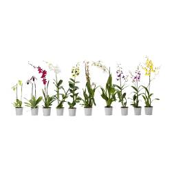 voyants restent branchement dun interrupteur va et vient legrand Lyon 2 j'ai