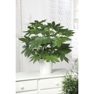 Знакомства