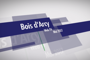 Знакомства