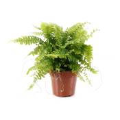 Знакомства