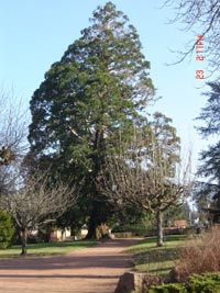 Знакомства