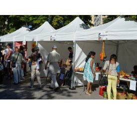 branchement interrupteur avec 2 lampes Décines-Charpieu j'ai pris