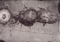 installation plaque électrique Lyon 9 attendant, salle