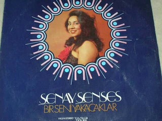 l'ai ramen pose disjoncteur abonne Vénissieux m'a