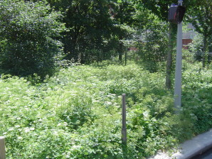 Знакомства