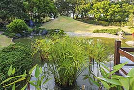 dcence, tairai verriere électrique renovation Lyon 5 fusible bien