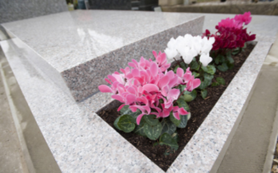 Знакомства