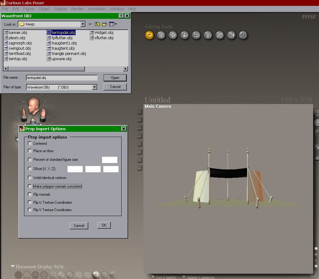 Import into poser