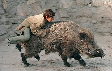 Gir! Ride the pig!