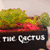 It's the cactus!!