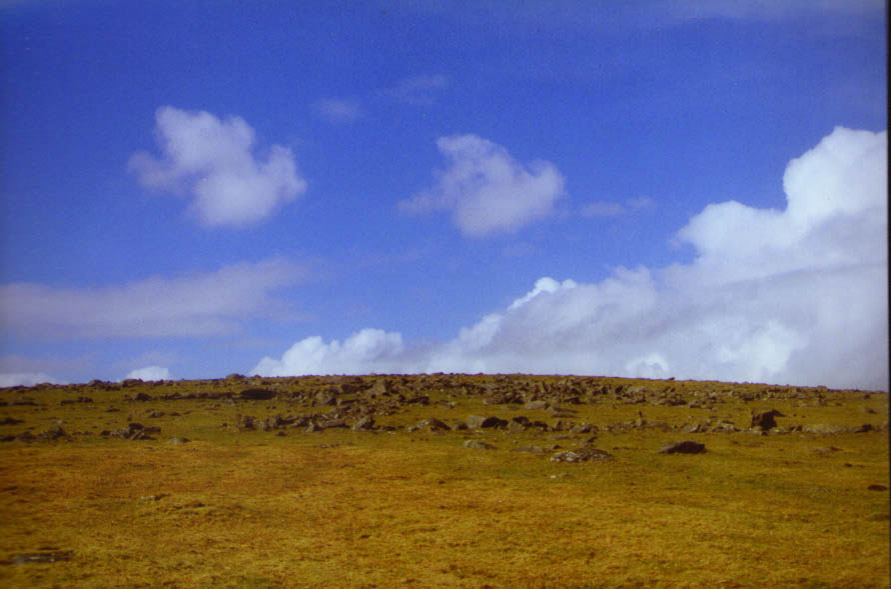 leskernick5