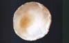 moon2