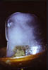moon4