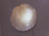 moon99