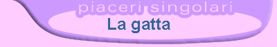 La gatta