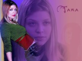 Tara wall 02