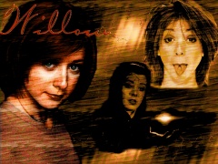 willow_wall_01