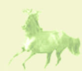 chevalvertbis.jpg (8431 bytes)