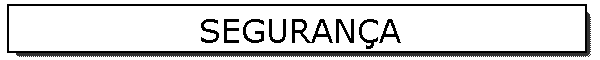 SEGURAN�A