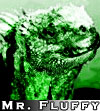 Mr. Fluffy